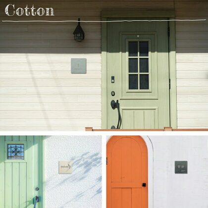 Cotton （コットン） SORT-CT0